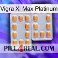 Vigra Xl Max Platinum cialis4